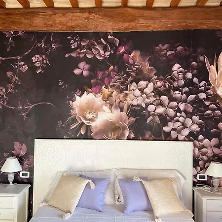 Country 4*